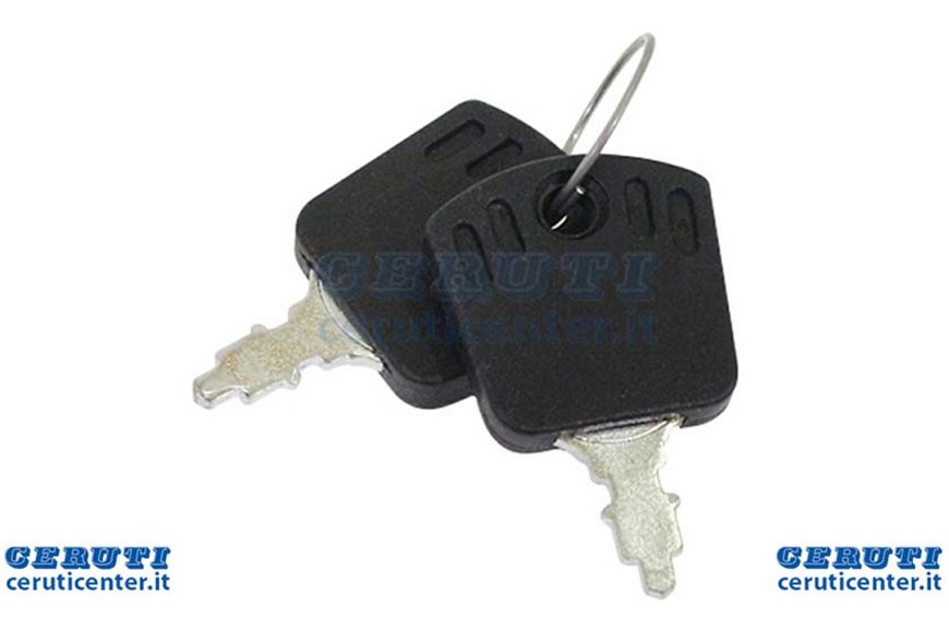 
Ignition Key [Pair]- Stiga Genuine Part - 118210016/1