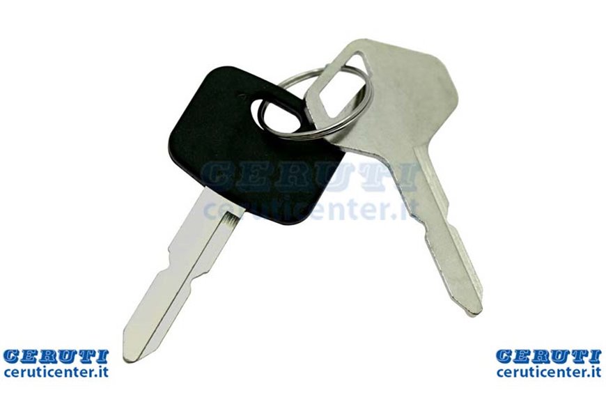 
Ignition Keys [2]- Stiga Genuine Part - 118210023/0