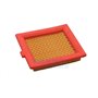 Paper Air Filter - Stiga Genuine Part - 118550147/0