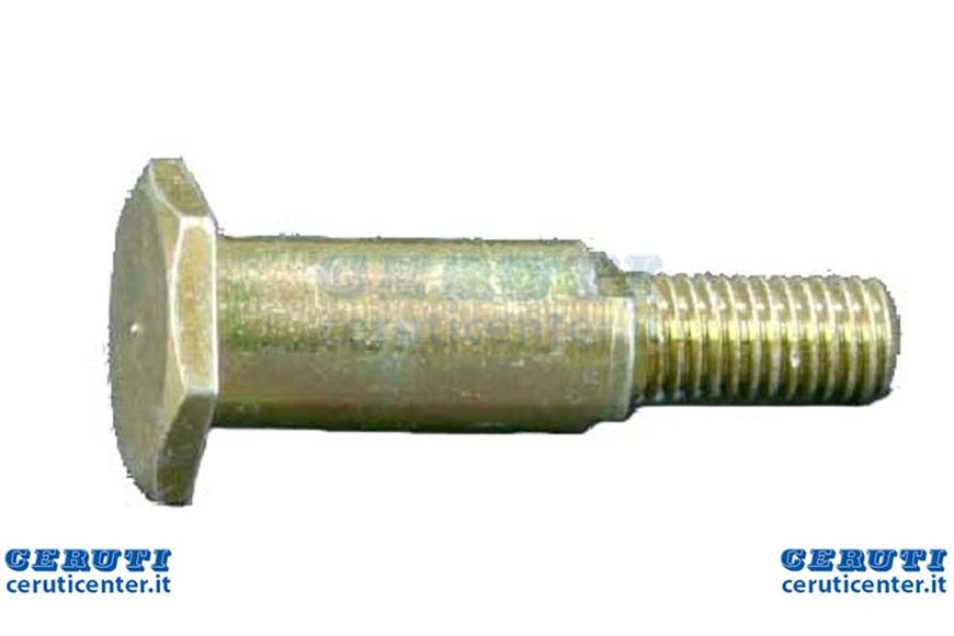 Perno Pignone Tendicatena Tc 102