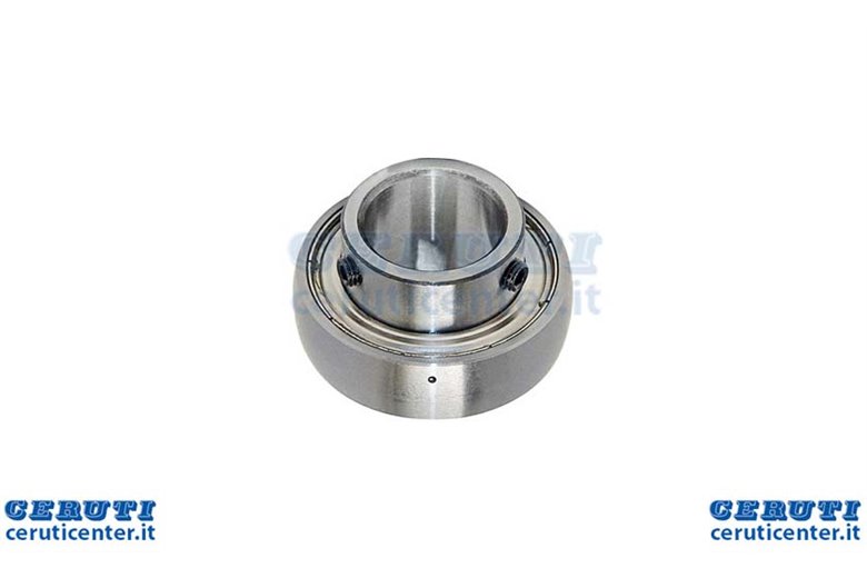 Cuscinetto Ruote Posteriore D19,05