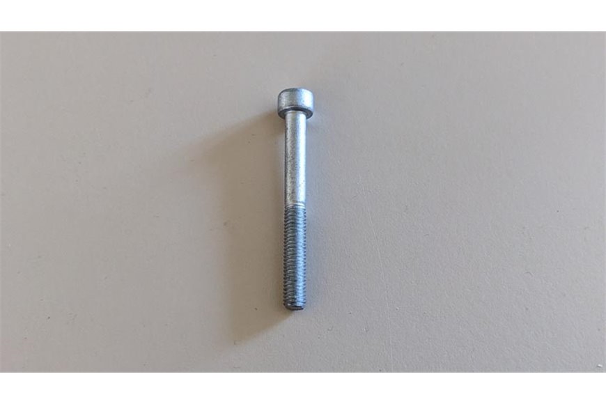 Tornillo - Original Emak - 3901014R