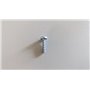 Tornillo - Original Emak - 3960115R