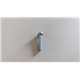 Screw - Original Emak - 3960092AR