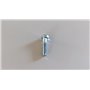 Screw - Original Emak - 3906016R