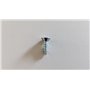 Tornillo - Original Emak - 3960135R