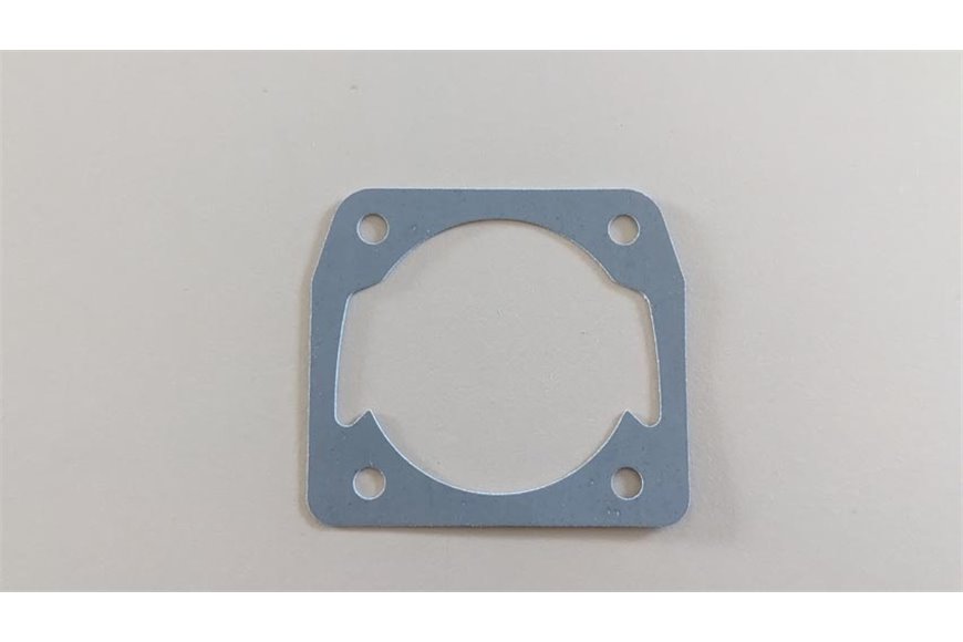 Dichtung - 50310076AR