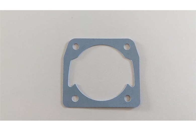 Dichtung - 50310076AR