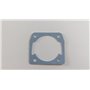 Dichtung - 50310076AR