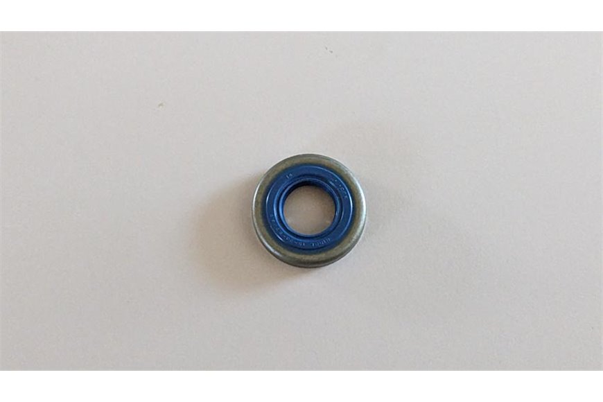 Seal Ring - Original Emak - 3050015AR