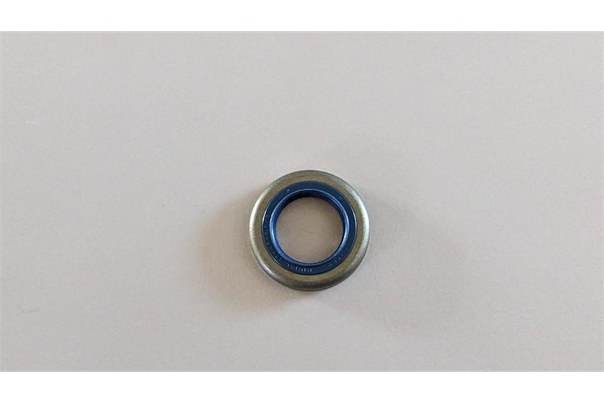 Seal Ring - Original Emak - 099900014R
