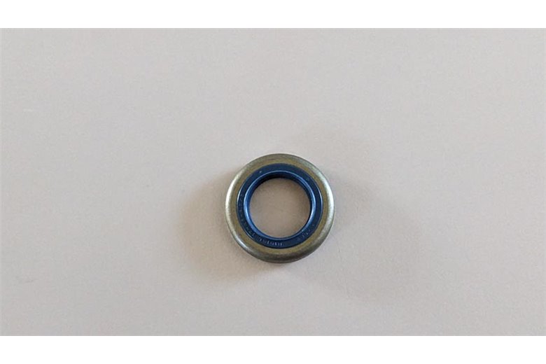 Anillo - Original Emak - 099900014R