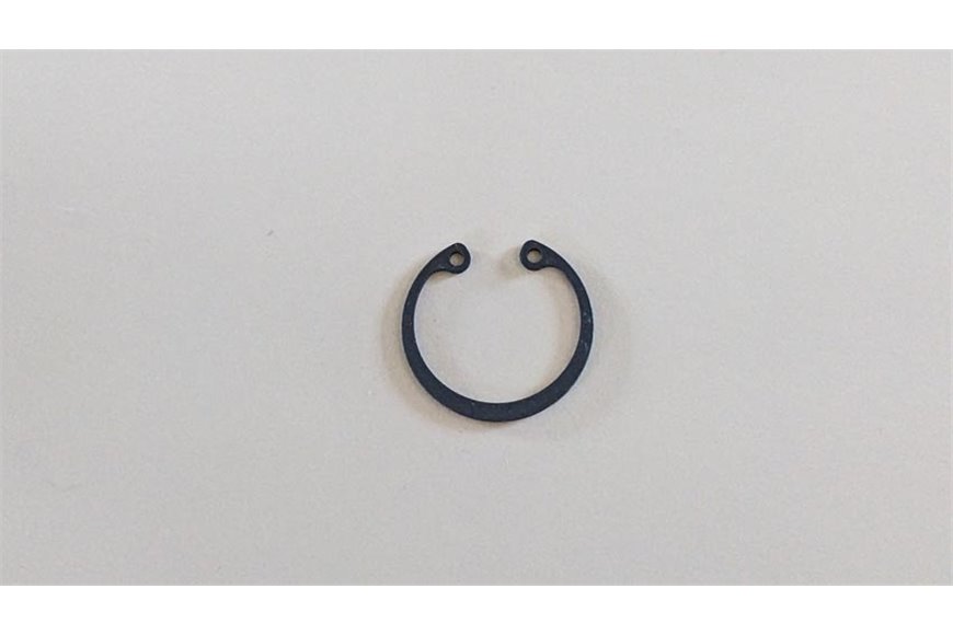 Ring - Original Emak - 3025019R