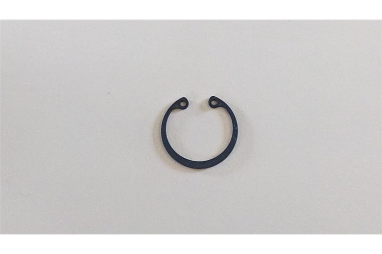 Ring - Original Emak - 3025019R