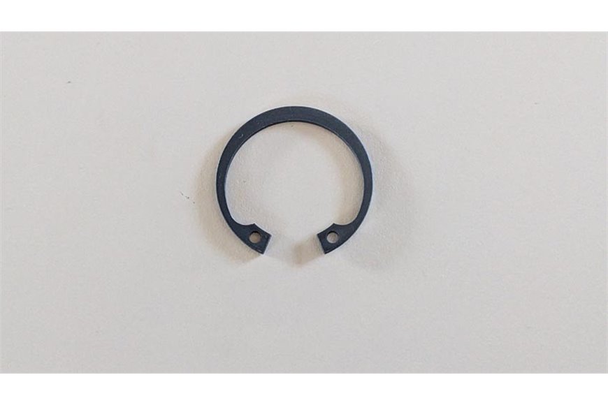 Ring - Original Emak - 3025022R