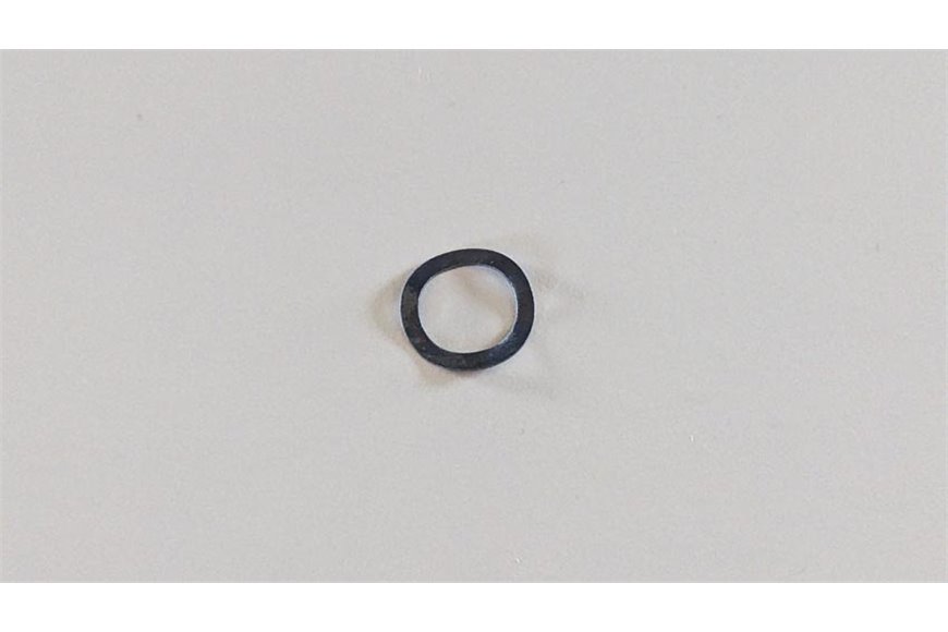 Ring - Original Emak - 3027001R