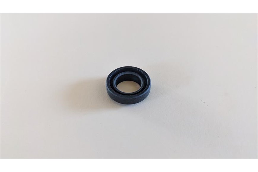 Seal Ring - Original Emak - CH00190058