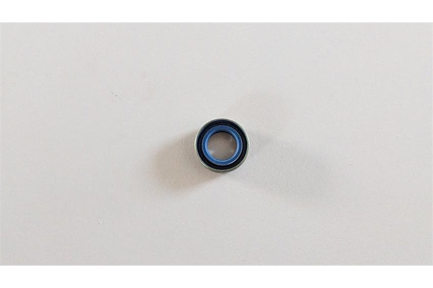 Seal Ring - Original Emak - 094000099R