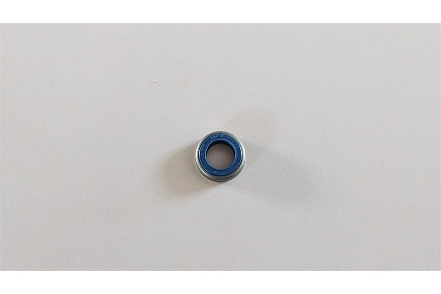 Seal Ring - Original Emak - 094000099R