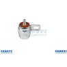 Intermotor Im250-300 capacitor