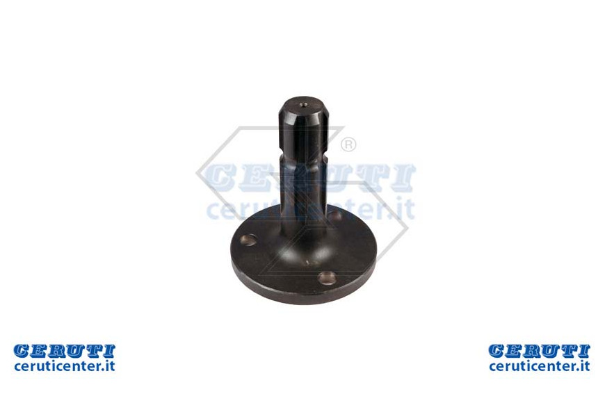 Numérisation arbre. 1 3 / 8''Same-Lamborgh.