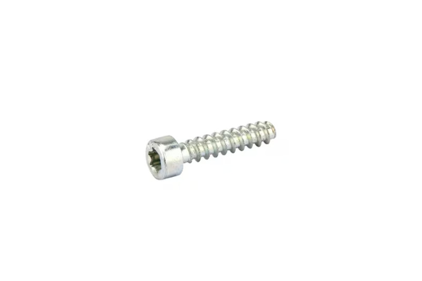Torx Self-Thread Screw- Stiga Genuine Part - 2123030