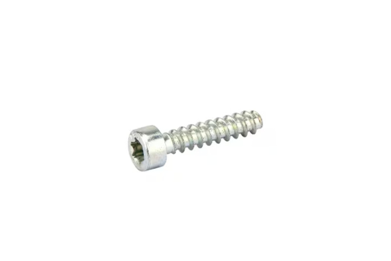 Torx Self-Thread Screw- Stiga Genuine Part - 2123030