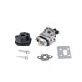 Carburettor Kit - 590460103 - sostituisce - 590460101