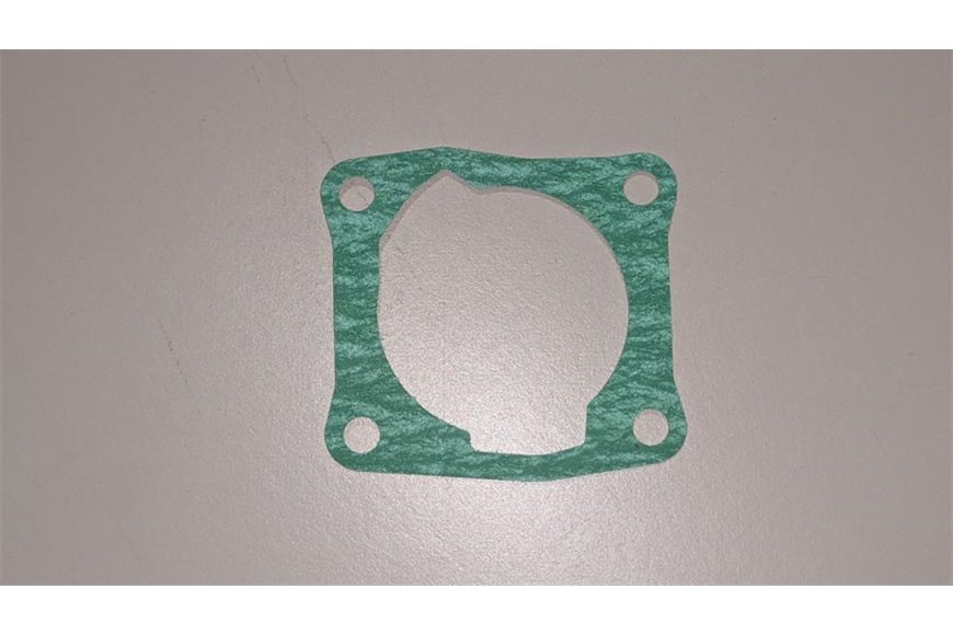 Dichtung - 50290007R