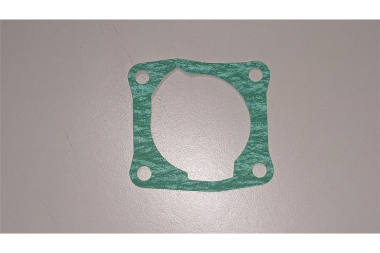 Dichtung - 50290007R