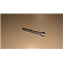 Screw - Original Emak - 3801017R