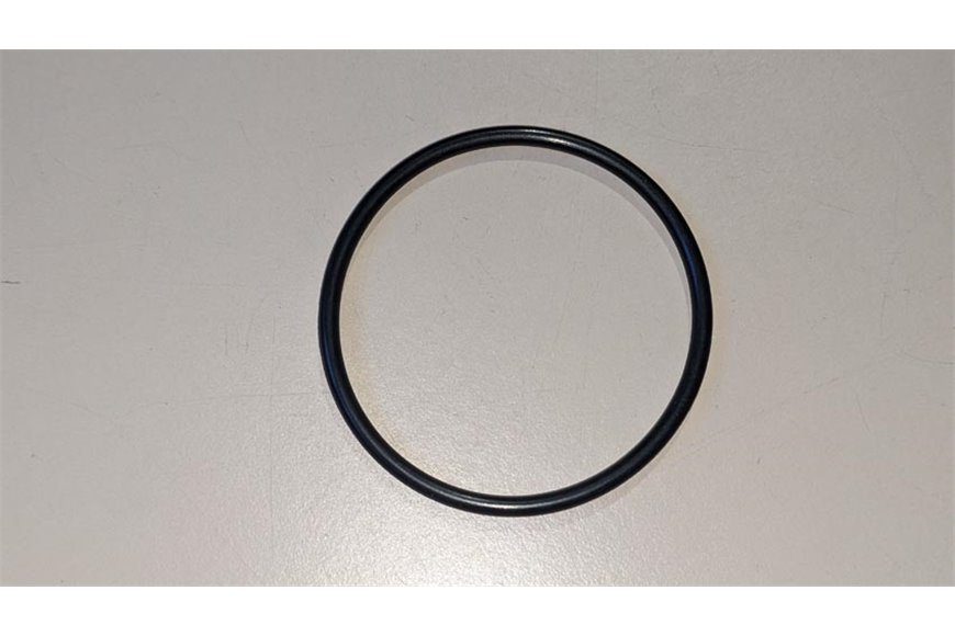 Ring Or 3181 (45,69X2,62) - BCS Original - 38114569 - ersetzt - F0803209060, P000000007897