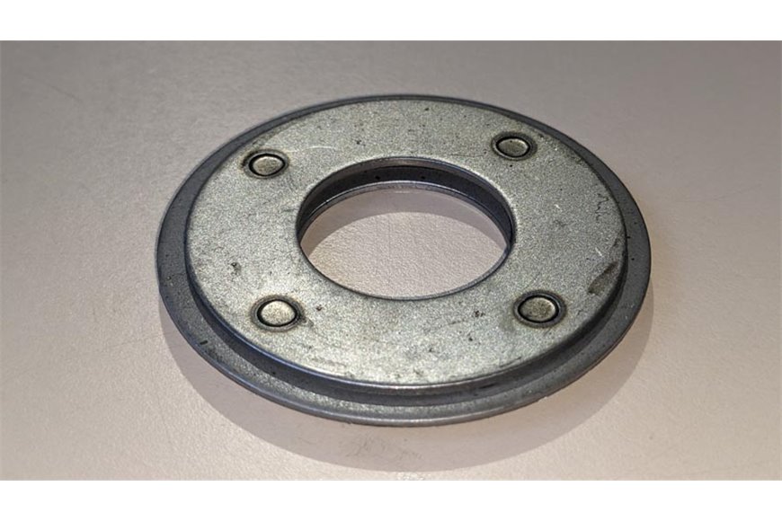 Dust Guard - BCS genuine -  F0496397061
