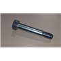 Vite Speciale M12X70 - Originale BCS - 58043228
