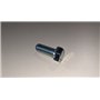 Screw Te 3/8X1" - BCS genuine - 31100015