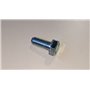 Vis Te M10X1,25X25 Uni5740 - BCS Pièce d'origine - 31112910 - remplace - F0863255050