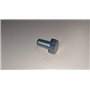 Vite Te M10X20 Sn 8G - Originale BCS - 31100701Z - sostituisce - 31100701