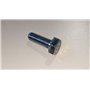 Vis Te M10X30 Uni 5739 - BCS Pièce d'origine -  31112211 - remplace - F0863276000, P767102000000, 31111213