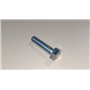 Vis Te M8X30 Uni 5739 8G - BCS Pièce d'origine -  31112152 - remplace - F0862720000, F0862724000, P000000003111, 31111154, 58165