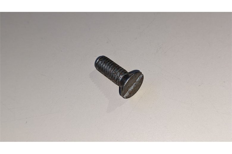 Vite Tsv M6X16 Uni 6109 5S - Originale BCS - 31131061 - sostituisce - P000000004342