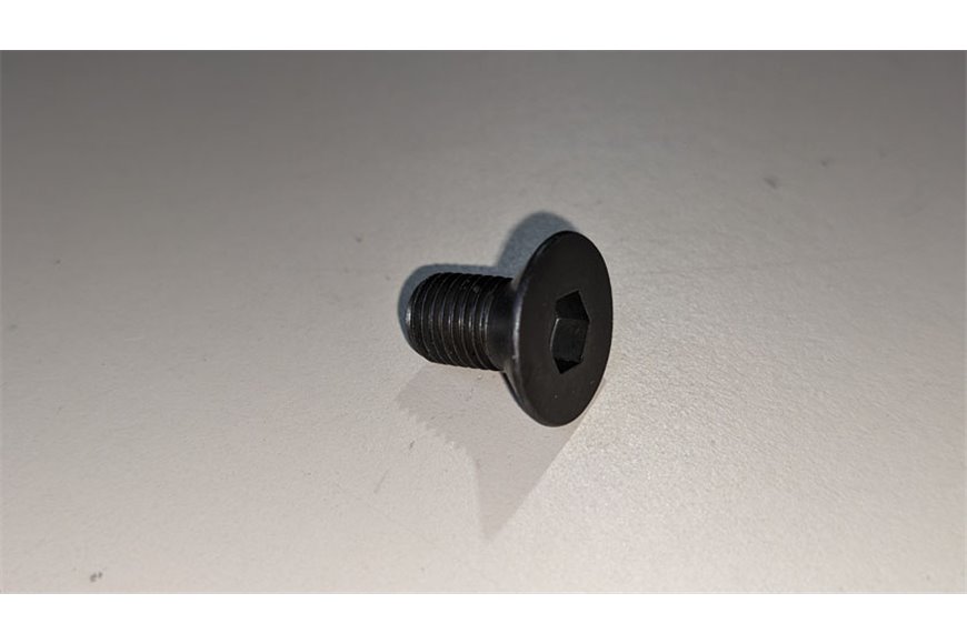 Screw M8X1X14 - 10.9 - BCS genuine - 58058522