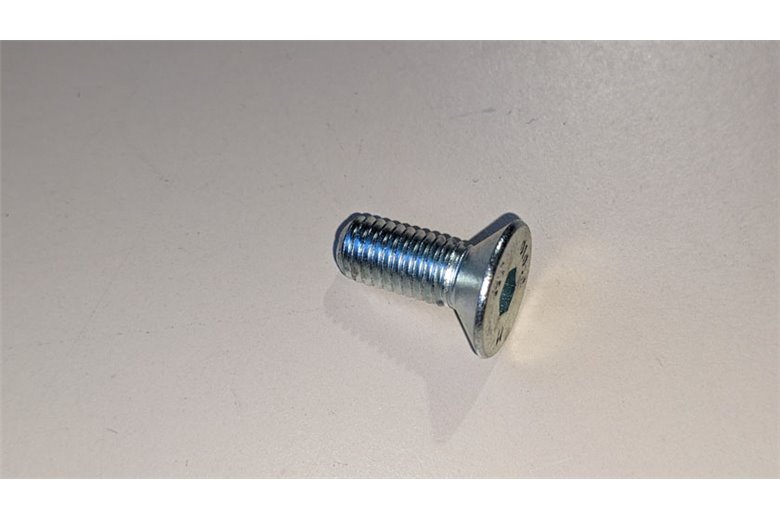 Vite Tsvei M8X20 Uni 5933 - Originale BCS - 31132566 - sostituisce - F0862581010