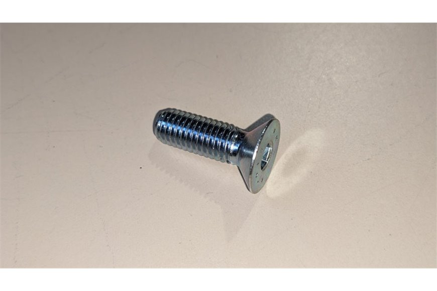Tornillo M8X25-5933 - BCS Original -  F0862655000