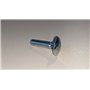 Vite Ttq M6X25 Uni 5731 5S - Originale BCS - 31121559 - sostituisce - F0862239010