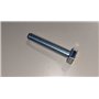 Vite Te M10X55 Uni 5739 8G - Originale BCS - 31112225