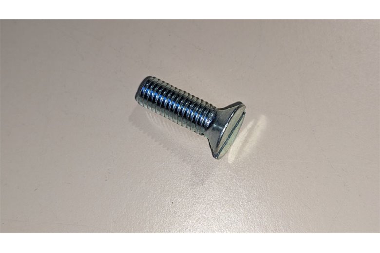 Vis Tsv M8X25 Uni 6109 - BCS Pièce d'origine - 31131080 - remplace - P000000004357
