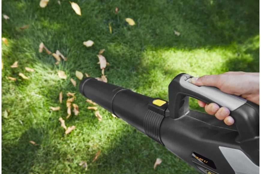 Alpina AB 20 Li Kit Cordless Leaf Blower - 271504104/A24