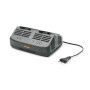 Caricabatterie standard doppio C 215 D Stiga - 271020100/21
