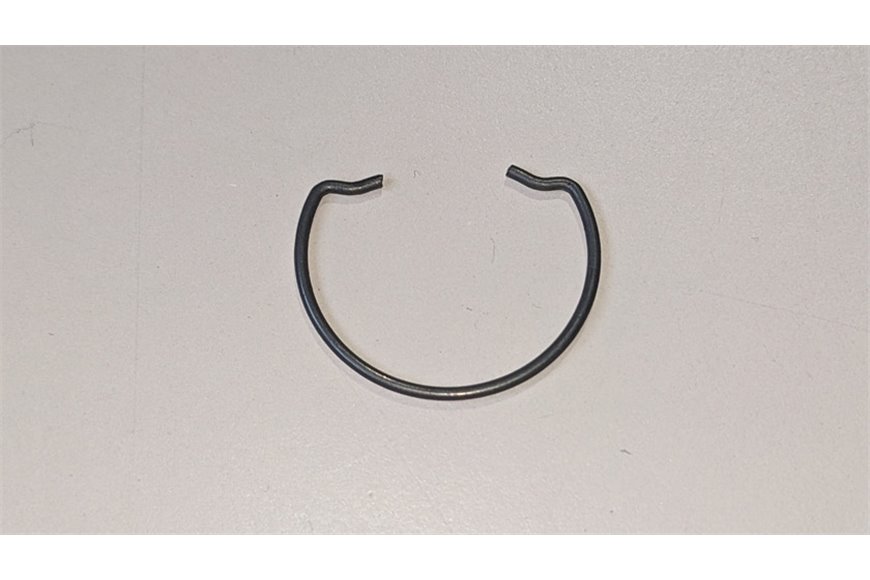 Ring Of Spring - Genuine Ibea - P3020024