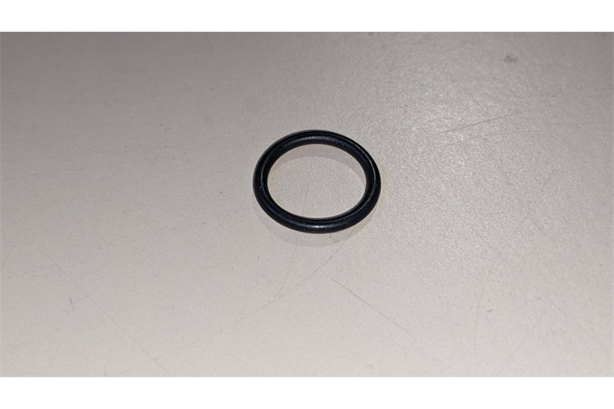 Anello Or (12,42X1,78) - Originale BCS - 38111242 - sostituisce - P000000007887